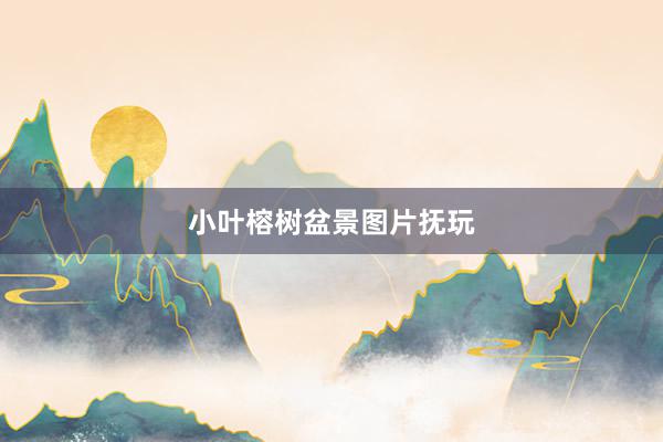 小叶榕树盆景图片抚玩