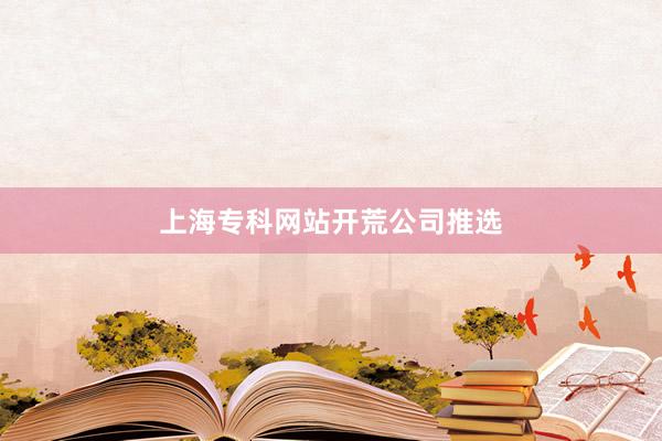上海专科网站开荒公司推选