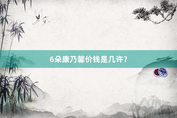 6朵康乃馨价钱是几许？