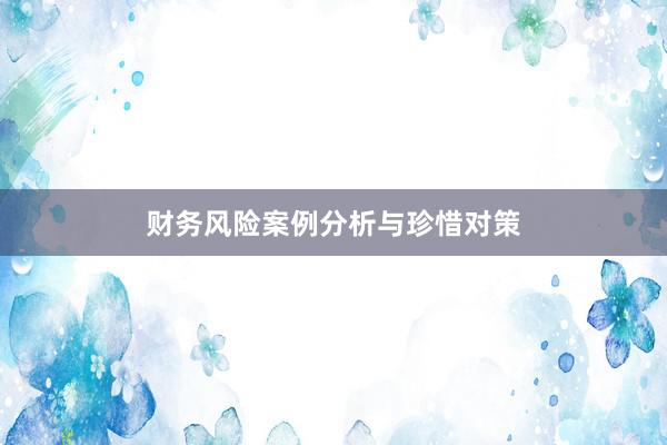 财务风险案例分析与珍惜对策